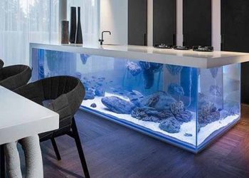 Aquarium 1