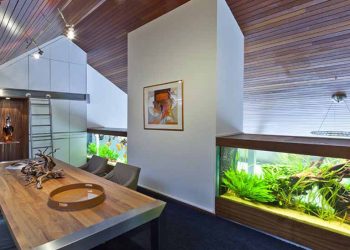 Aquarium 2