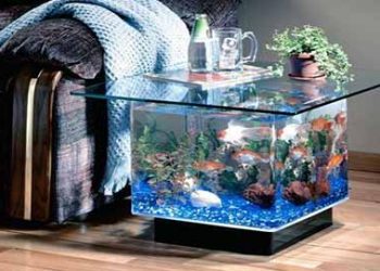 Aquarium 3