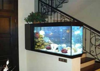 Aquarium 4