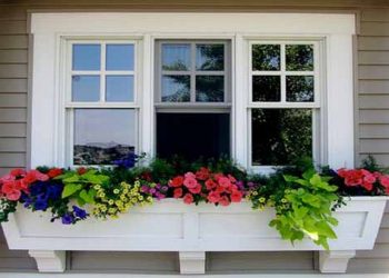 Window 08