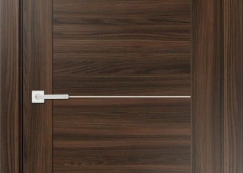 flush door
