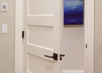 framed and panel door
